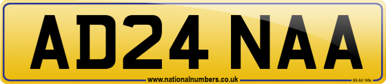 AD24 NAA