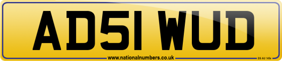 AD51 WUD