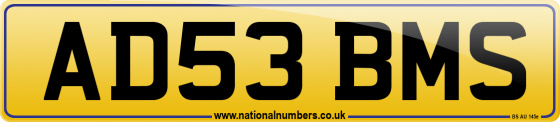 AD53 BMS