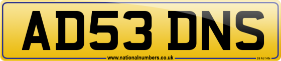 AD53 DNS