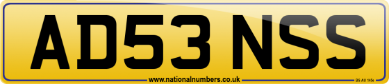 AD53 NSS