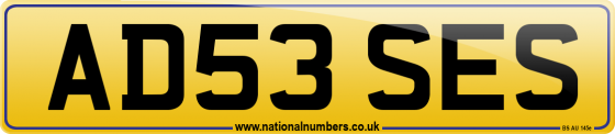 AD53 SES