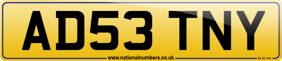 AD53 TNY