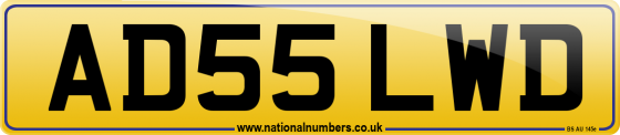 AD55 LWD