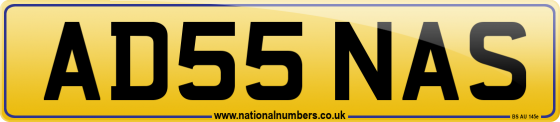 AD55 NAS