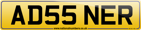 AD55 NER