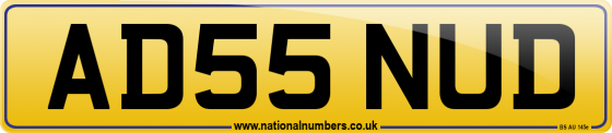 AD55 NUD