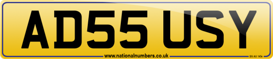 AD55 USY