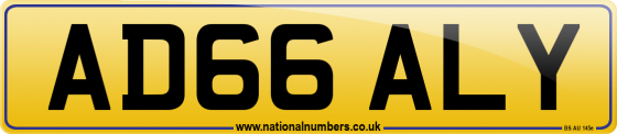 AD66 ALY