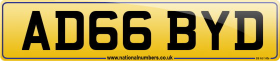 AD66 BYD