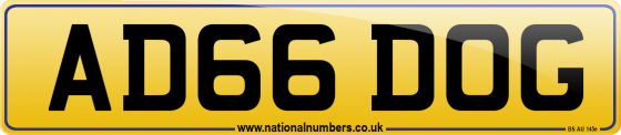 AD66 DOG