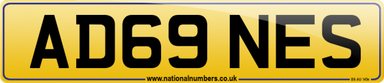 AD69 NES