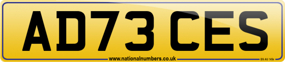 AD73 CES