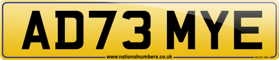 AD73 MYE