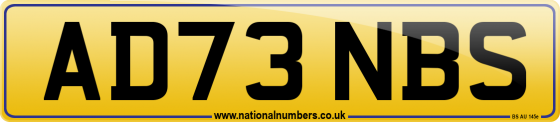 AD73 NBS
