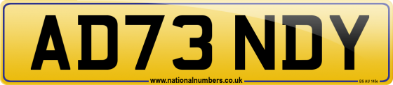 AD73 NDY
