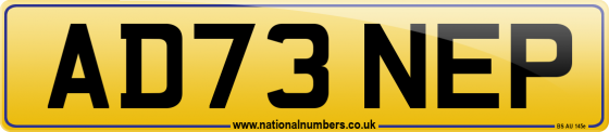 AD73 NEP