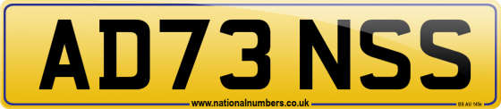 AD73 NSS