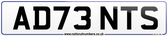 AD73 NTS