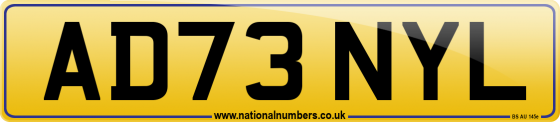 AD73 NYL