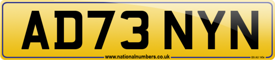 AD73 NYN