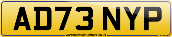 AD73 NYP