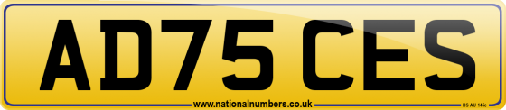 AD75 CES