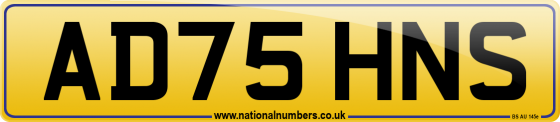 AD75 HNS