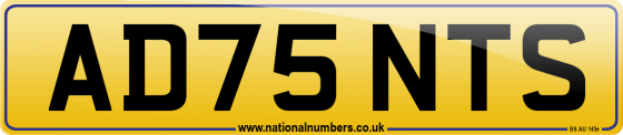 AD75 NTS