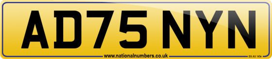 AD75 NYN