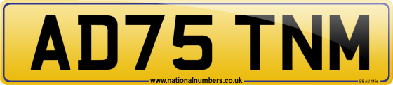 AD75 TNM