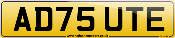 AD75 UTE