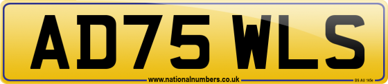 AD75 WLS
