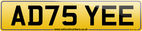AD75 YEE