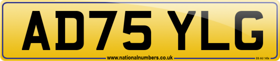 AD75 YLG