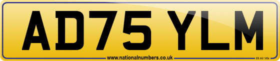 AD75 YLM