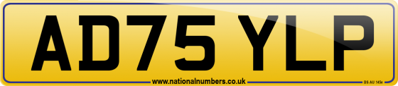 AD75 YLP