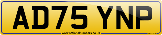 AD75 YNP