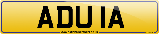 ADU 1A