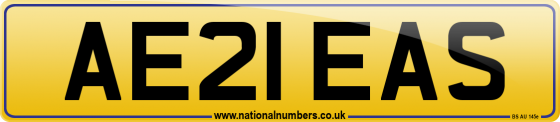 AE21 EAS