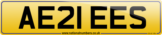 AE21 EES