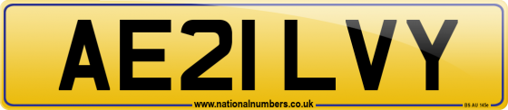 AE21 LVY