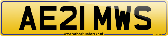 AE21 MWS