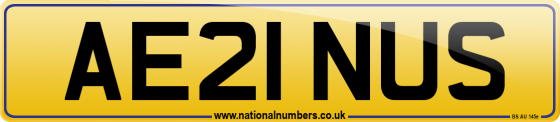 AE21 NUS