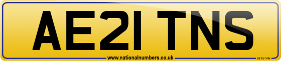 AE21 TNS