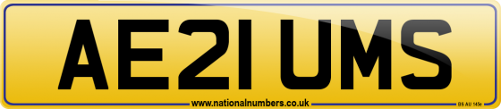 AE21 UMS