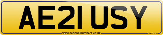 AE21 USY