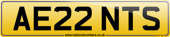 AE22 NTS