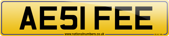 AE51 FEE