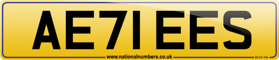 AE71 EES